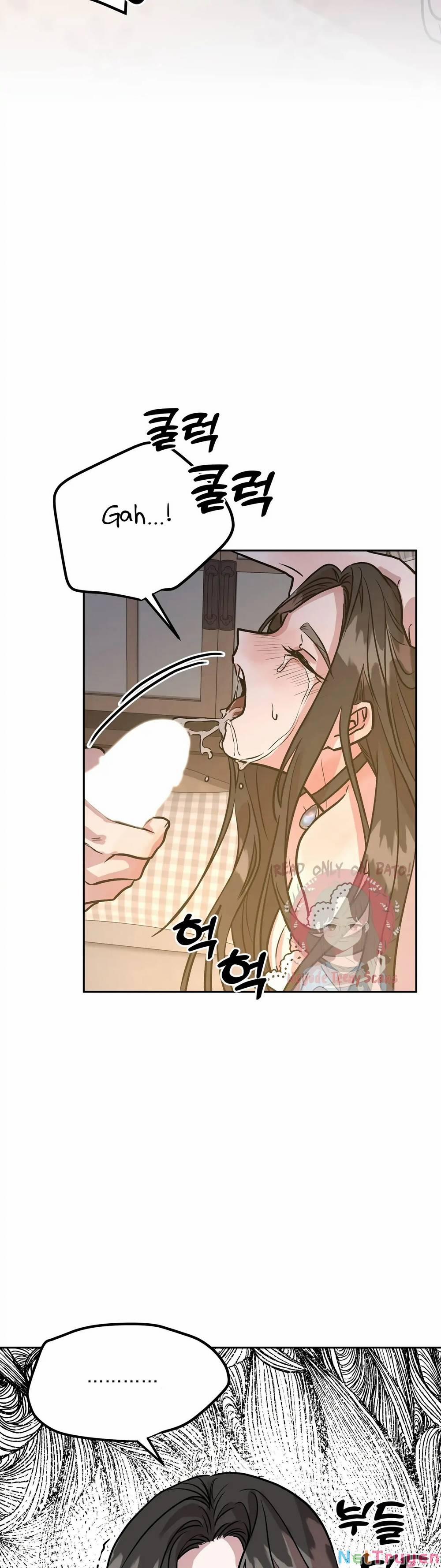 Hoàng Tử Bạch Tuyết Đã Bị Hoàng Hậu Bắt Đi 5 trang 17