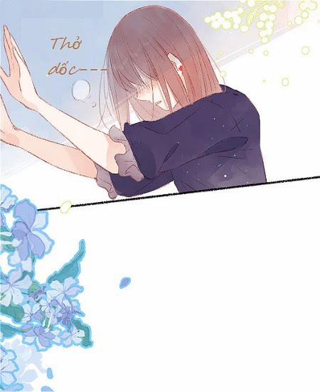 Hoàng Tử Chăn Bò Và Công Chúa Thực Tập 2 trang 3