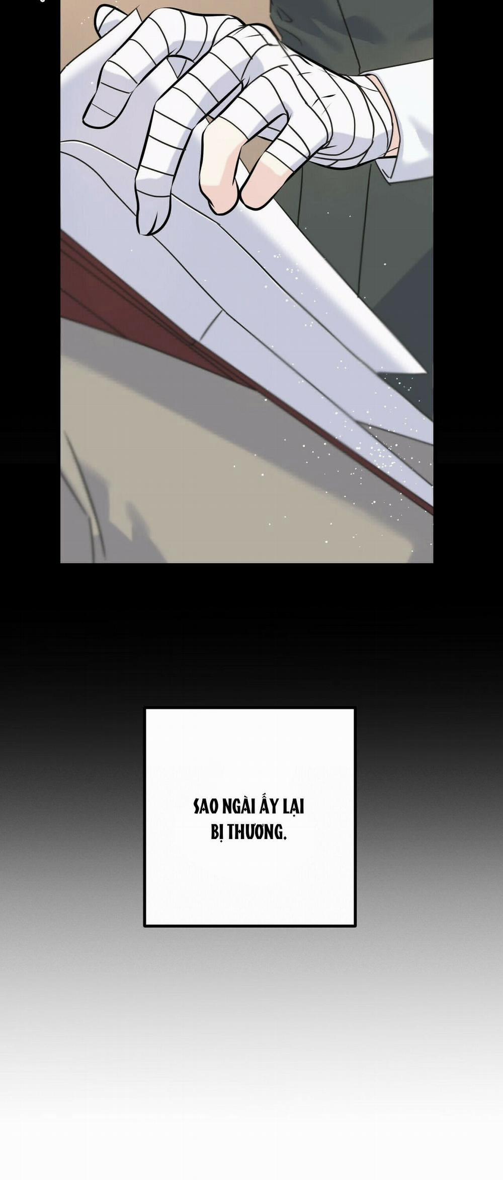 Hoàng Tử Dâm Đảng Và Nữ Hiệp Sĩ Ngầu Lòi 42 trang 28