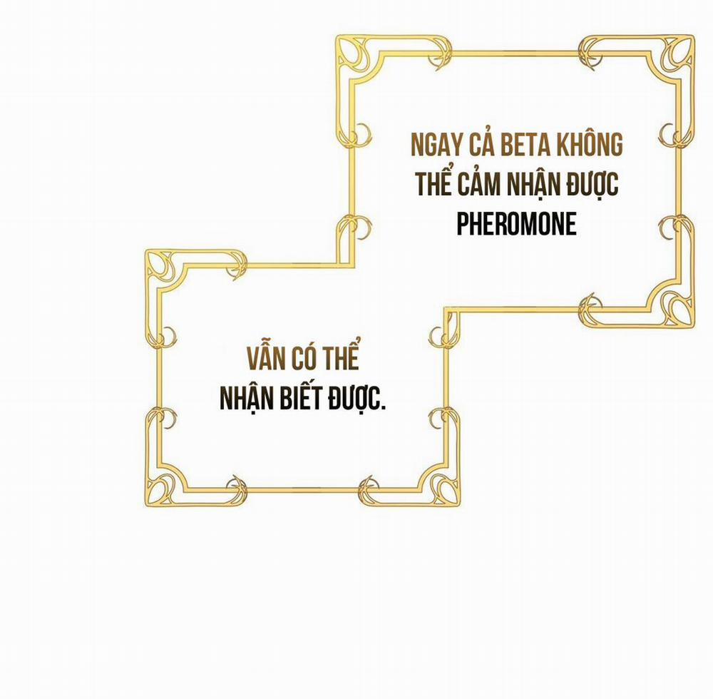 Hoàng Tử Hư Hỏng Che Giấu Mình Là Omega 11 trang 12