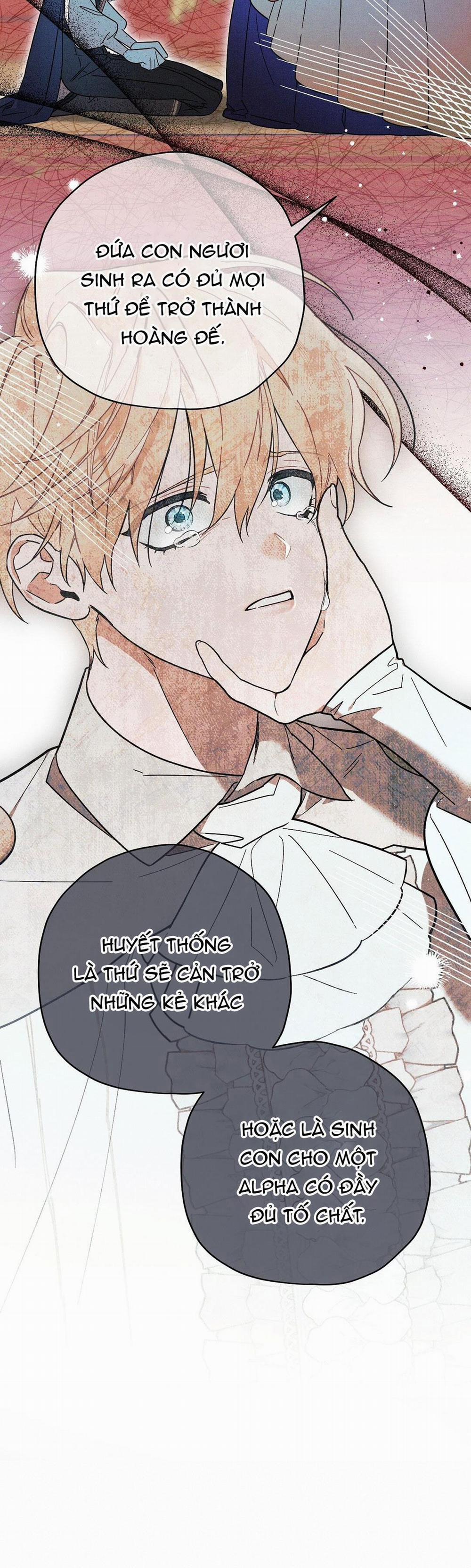 Hoàng Tử Hư Hỏng Che Giấu Mình Là Omega 13 trang 39