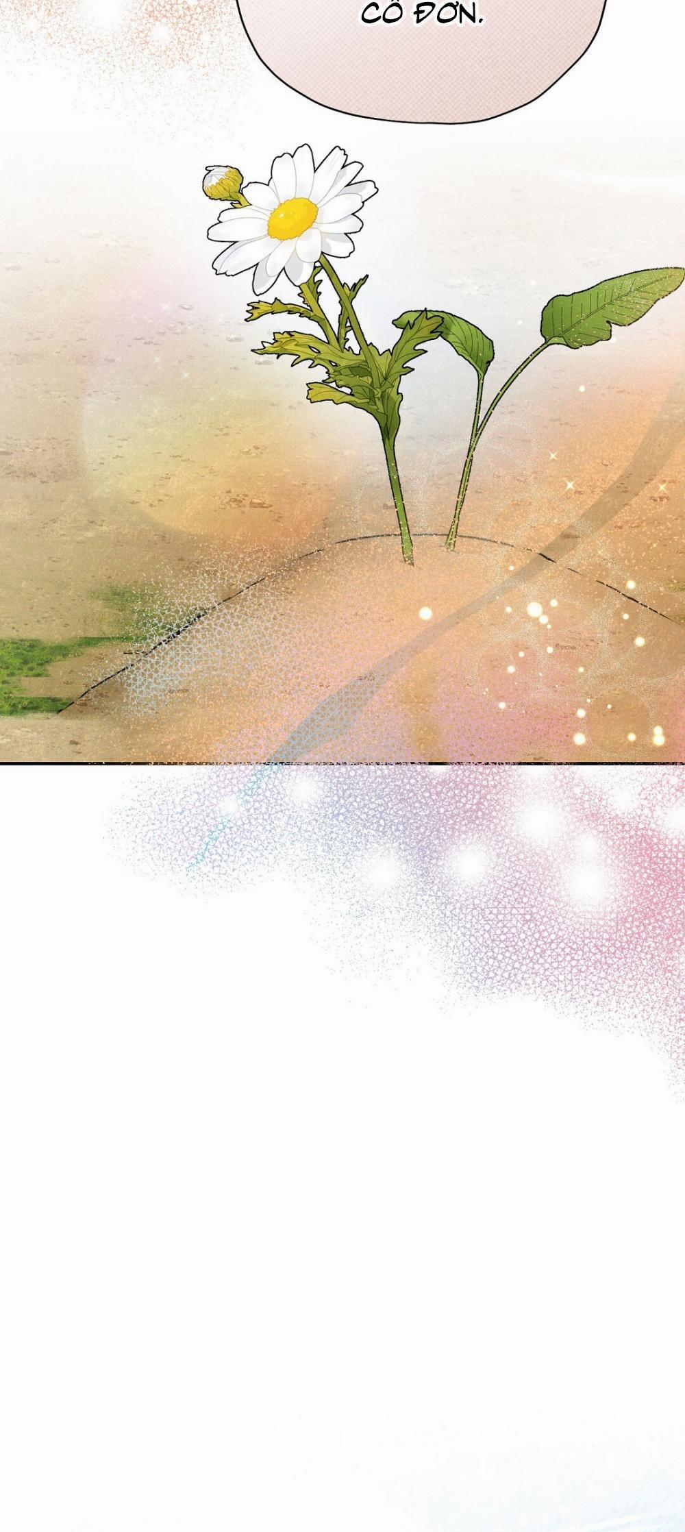 Hoàng Tử Hư Hỏng Che Giấu Mình Là Omega 43 trang 39