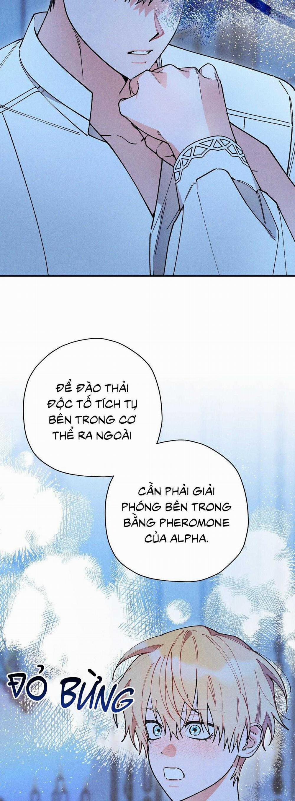 Hoàng Tử Hư Hỏng Che Giấu Mình Là Omega 55 trang 2