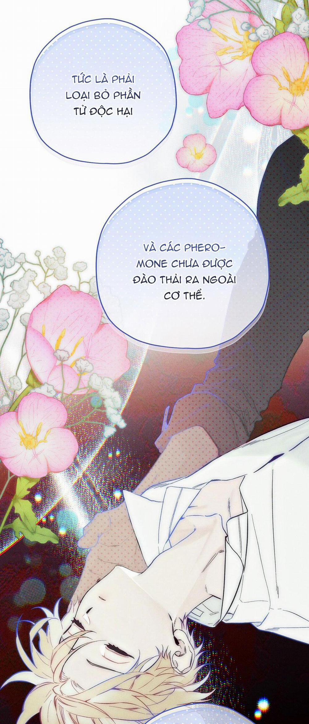 Hoàng Tử Hư Hỏng Che Giấu Mình Là Omega 9 trang 7