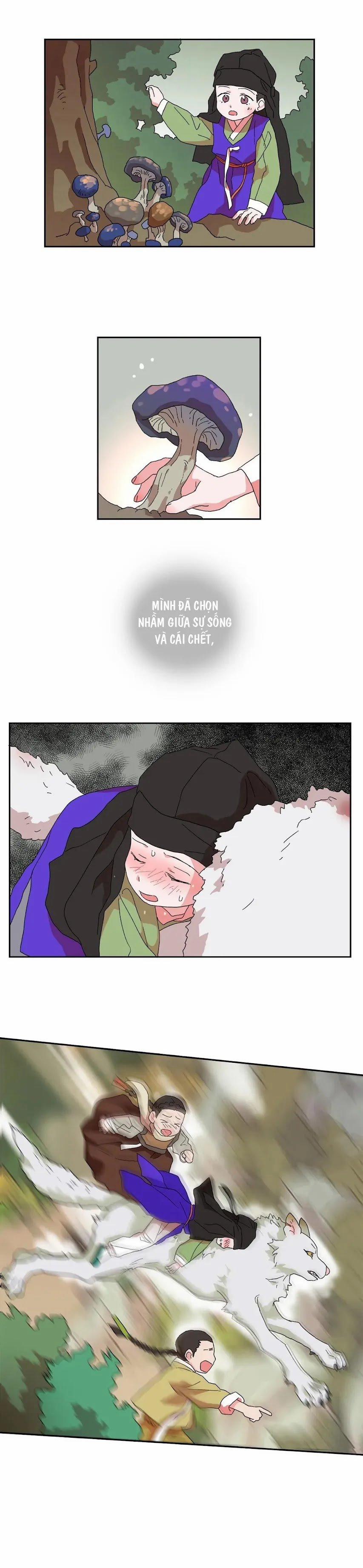 Học Giả Bán Nguyệt 5.2 trang 17