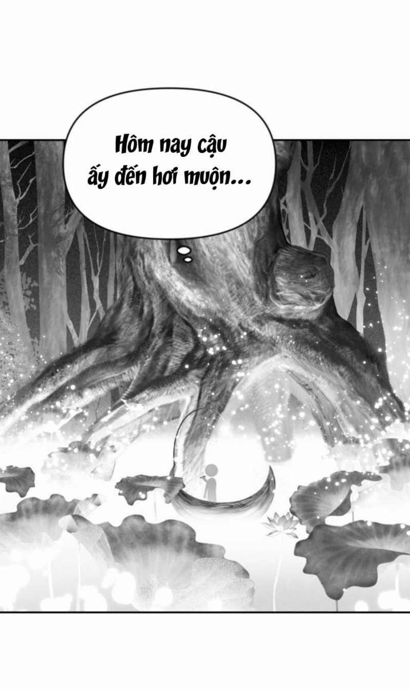 Học Sinh Trường Trung Học Nghệ Thuật Illip 4 trang 11