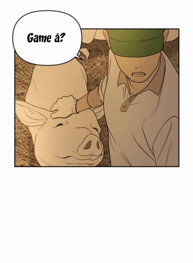 Học Sinh Trường Trung Học Nghệ Thuật Illip 4 trang 16