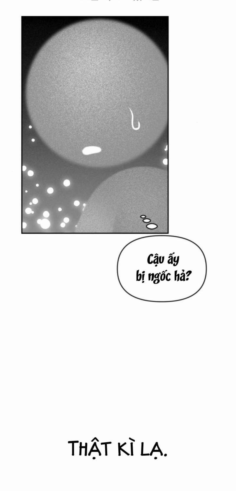 Học Sinh Trường Trung Học Nghệ Thuật Illip 4 trang 3