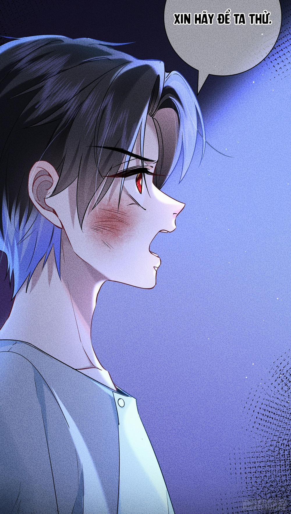 Hoen Ố 10.2 trang 13