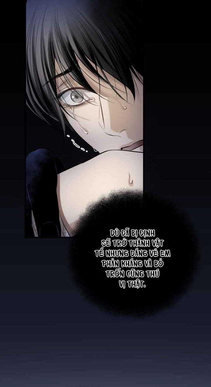 HƠI THỞ CỦA CỪU 5 trang 34