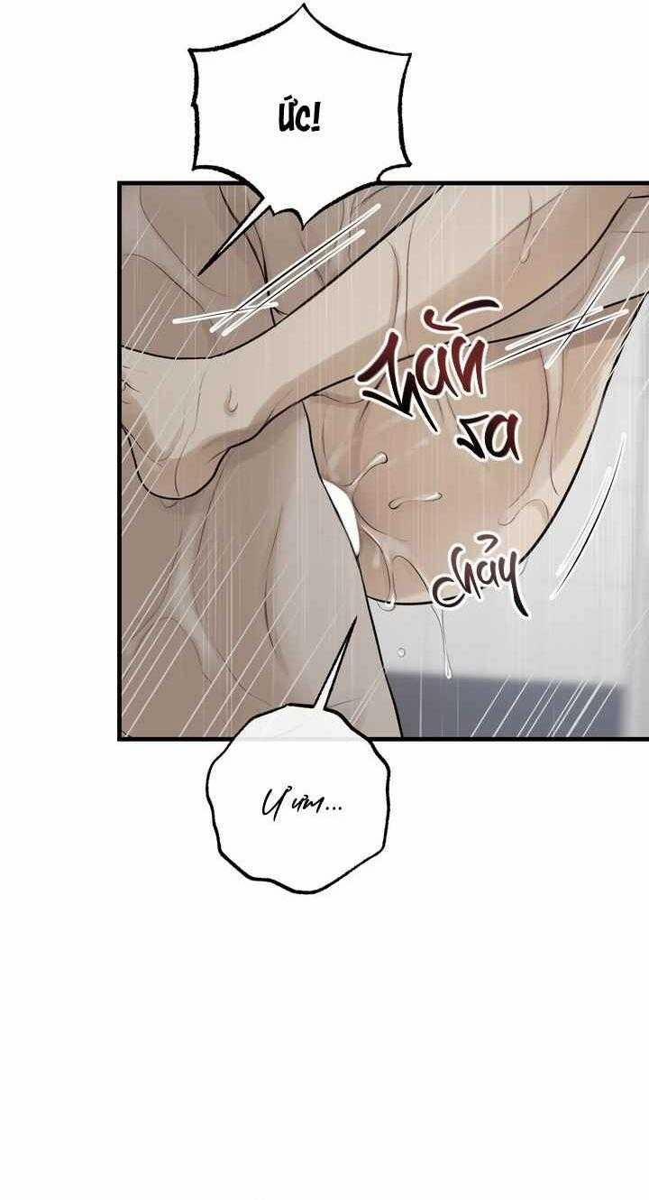 HƠI THỞ CỦA CỪU 5 trang 74