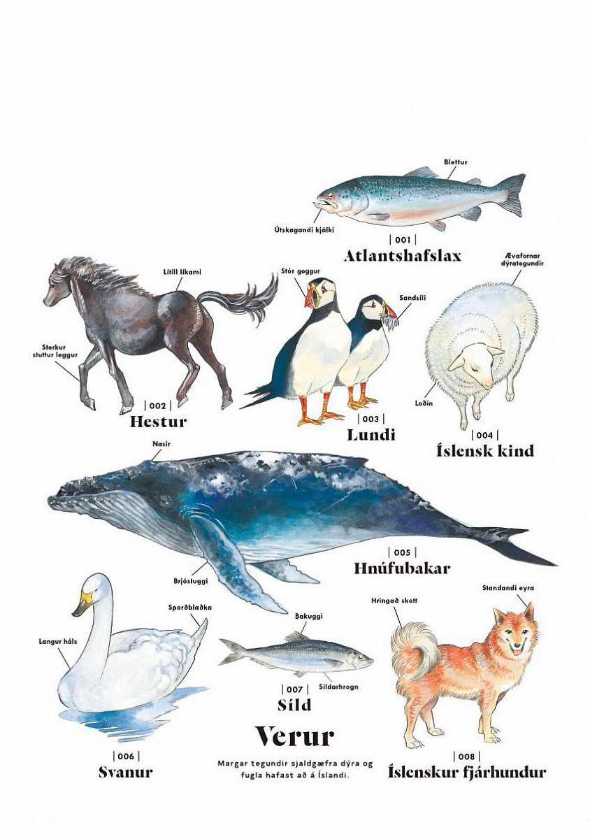 Hokuhokusei Ni Kumo To Ike 18 trang 40