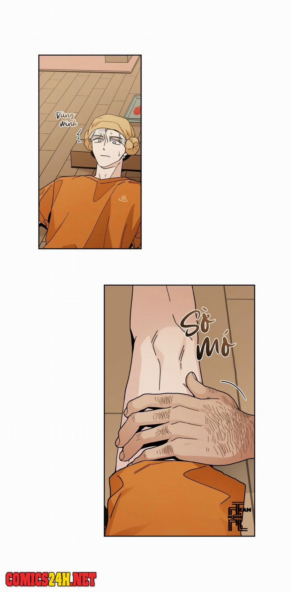 Home Five 1 trang 31