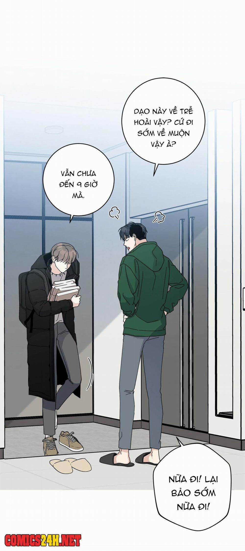 Home Five 3 trang 12