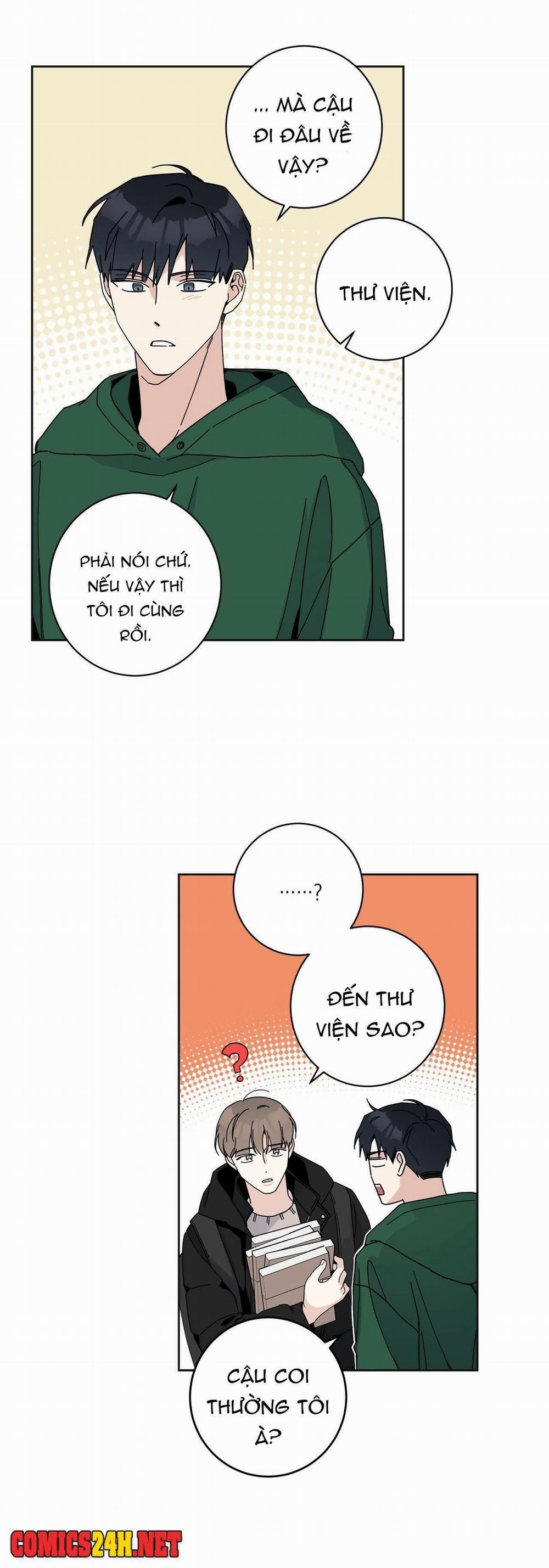 Home Five 3 trang 13