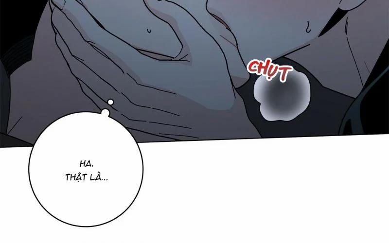 Home Five 33 trang 10