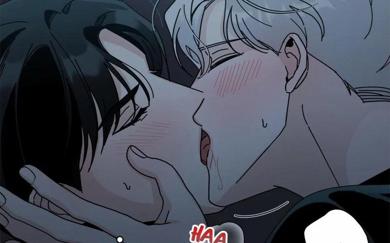 Home Five 33 trang 12