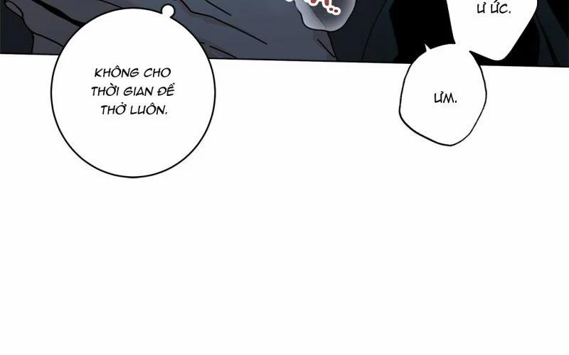 Home Five 33 trang 13