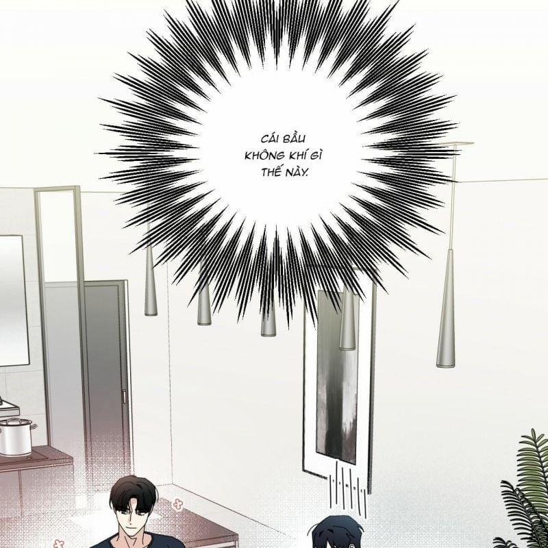 Home Five 34 trang 8