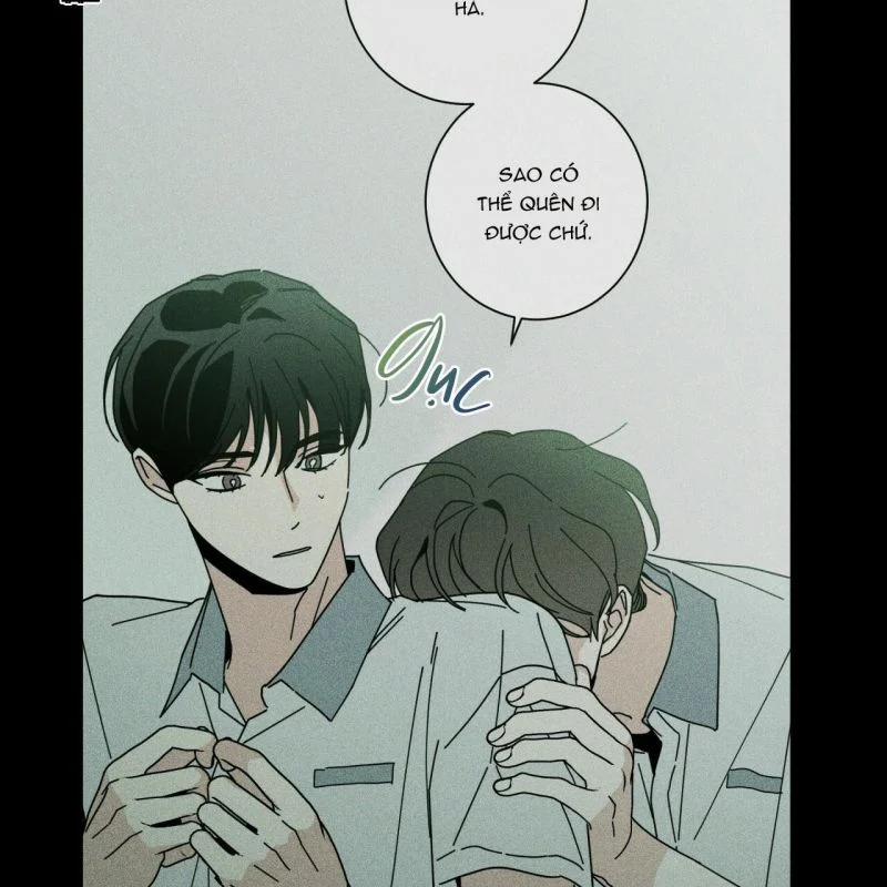 Home Five 35 trang 141