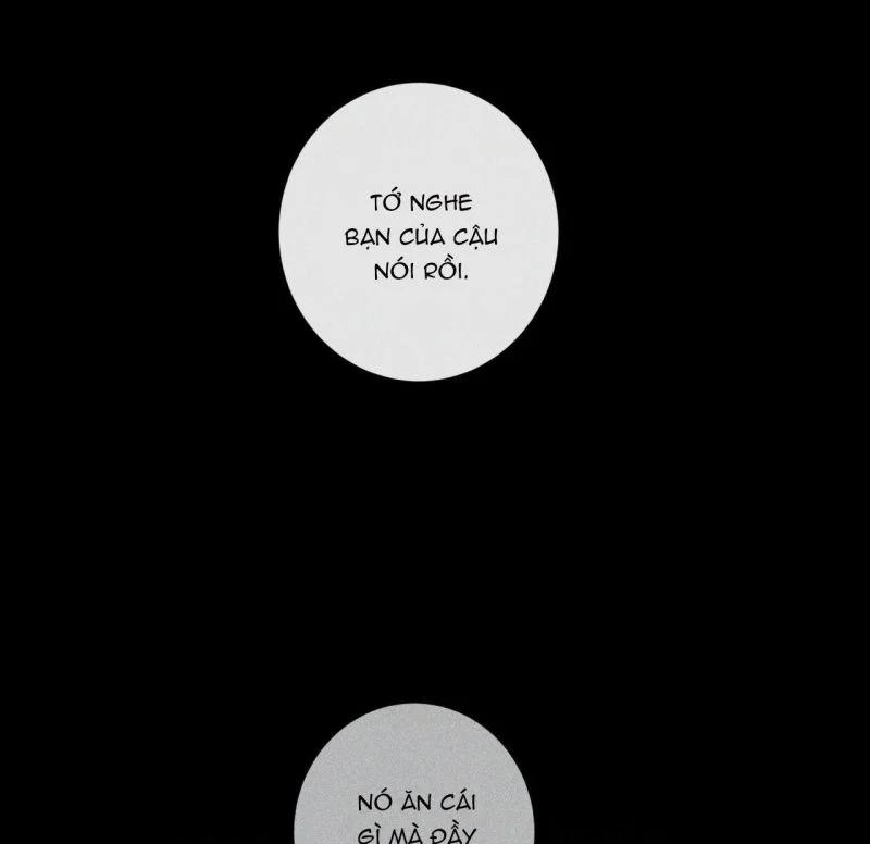 Home Five 35 trang 77