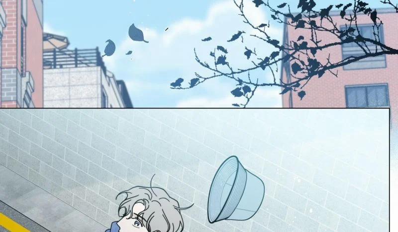 Home Five 36 trang 207