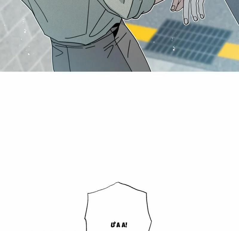 Home Five 37 trang 14