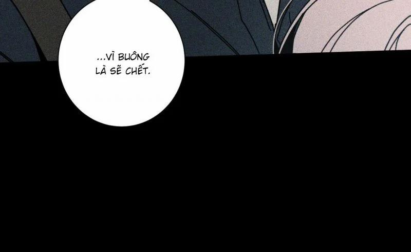 Home Five 41 trang 119