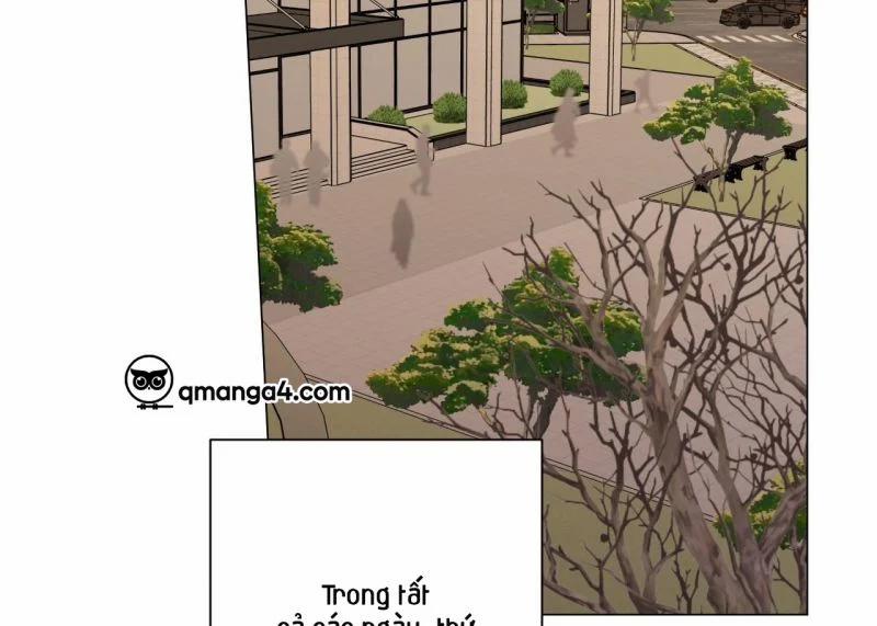 Home Five 42 trang 2