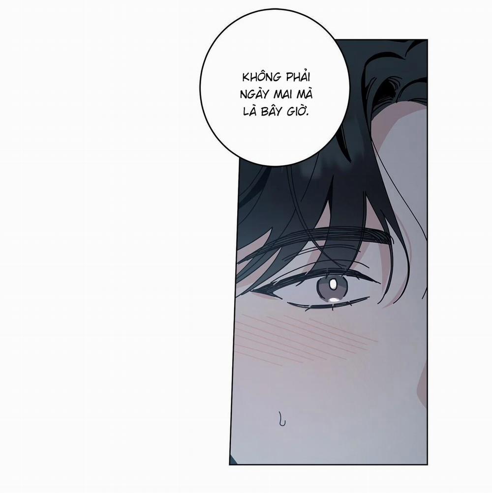 Home Five 43 trang 46