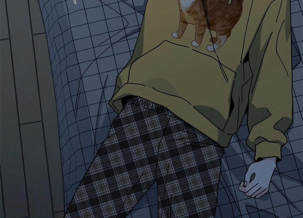 Home Five 44 trang 185