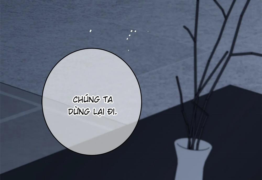 Home Five 44 trang 4