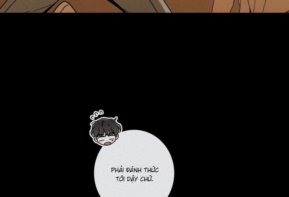 Home Five 45 trang 10