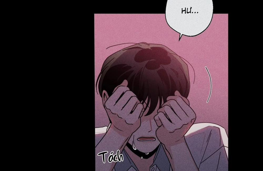 Home Five 46 trang 100