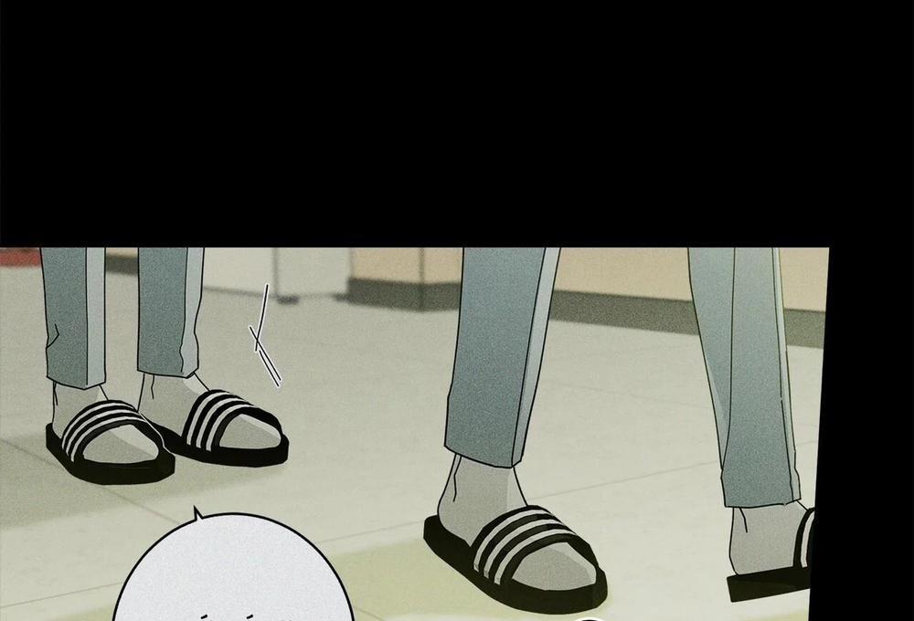 Home Five 47 trang 117