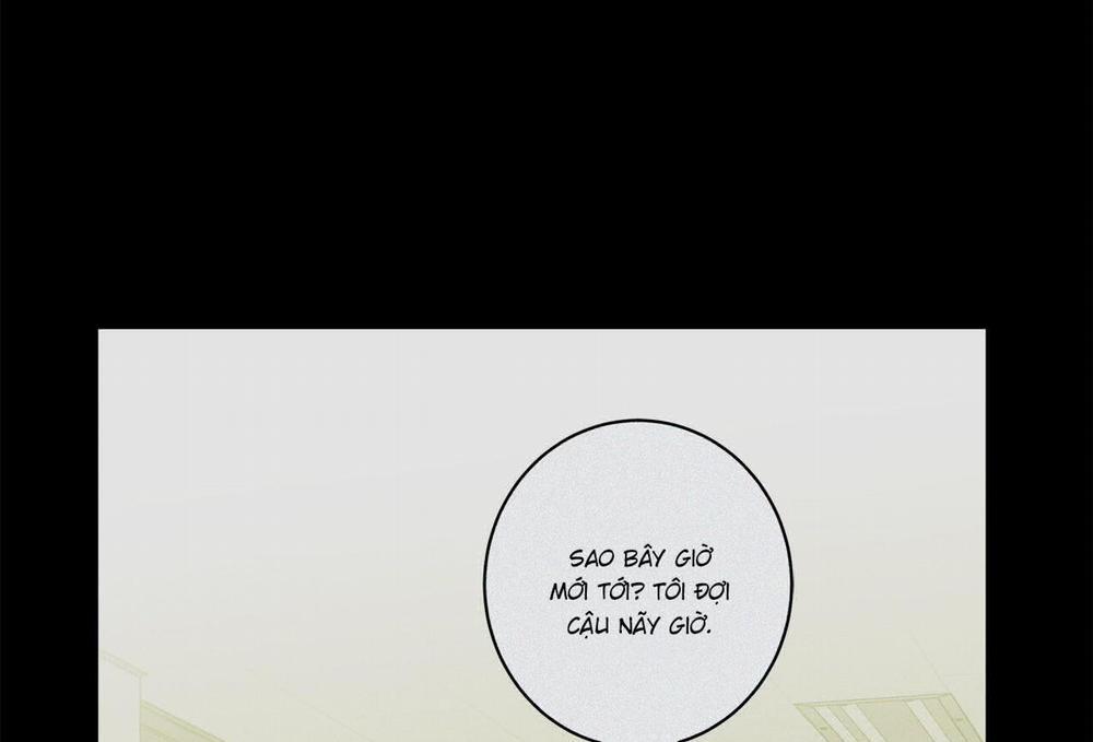 Home Five 47 trang 131