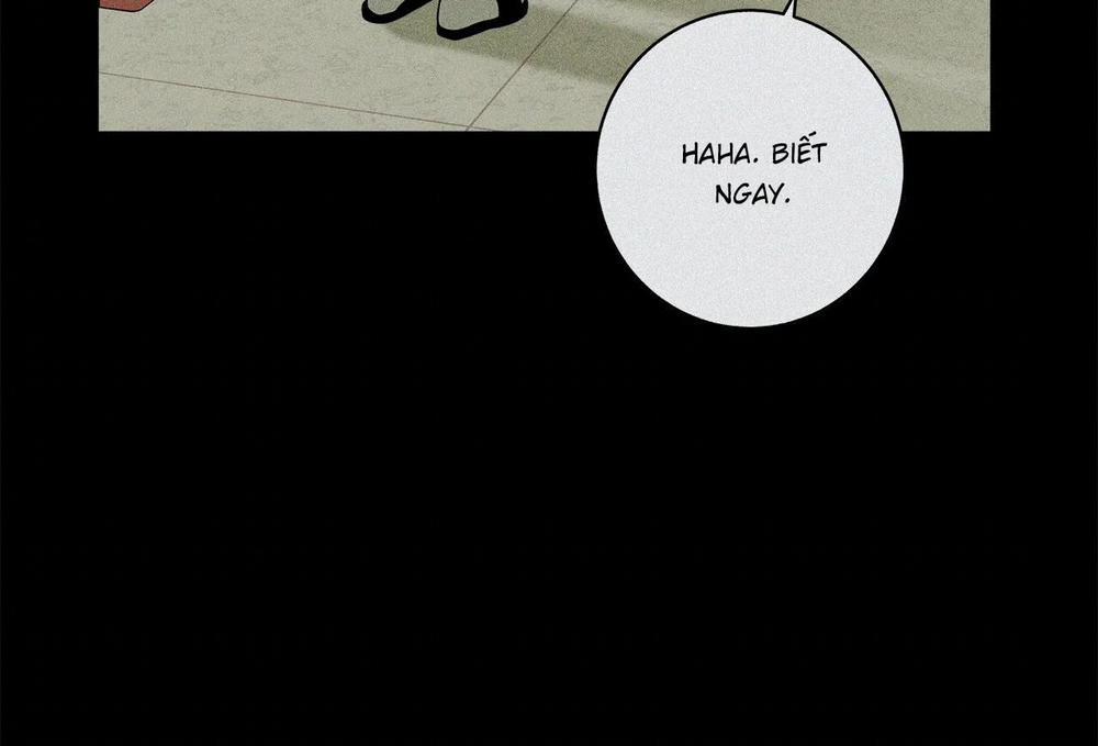 Home Five 47 trang 134