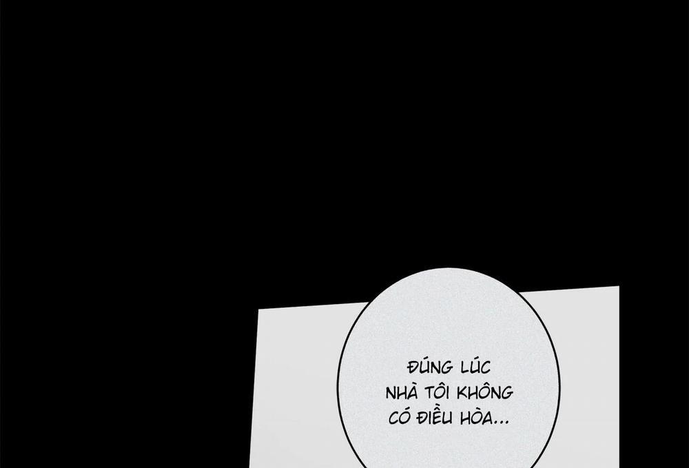 Home Five 47 trang 142