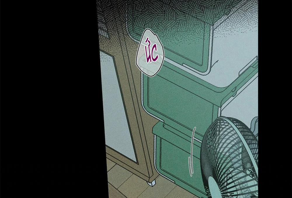 Home Five 47 trang 160