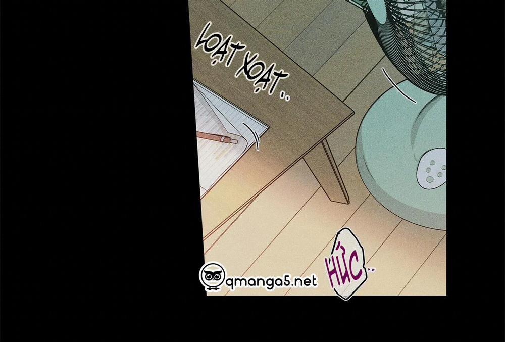 Home Five 47 trang 161