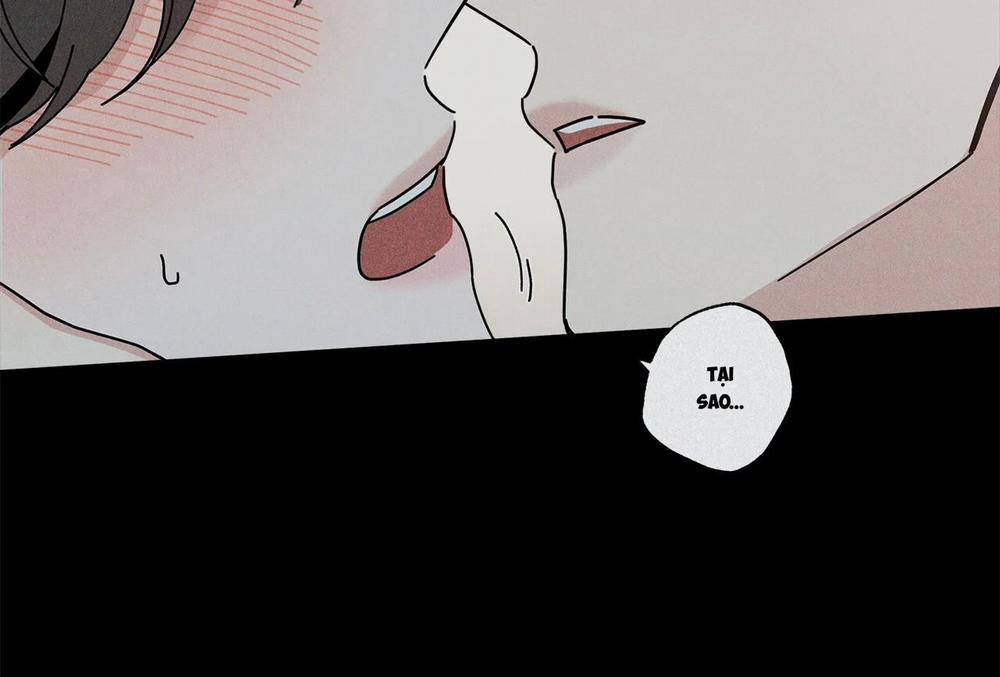 Home Five 47 trang 163