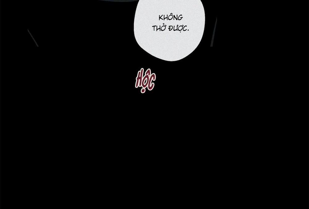 Home Five 47 trang 174