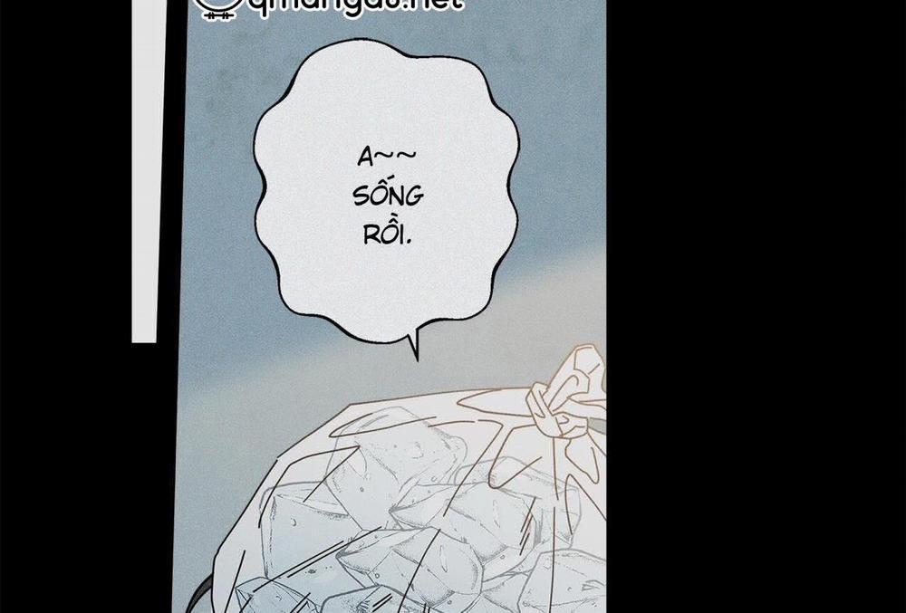 Home Five 47 trang 179