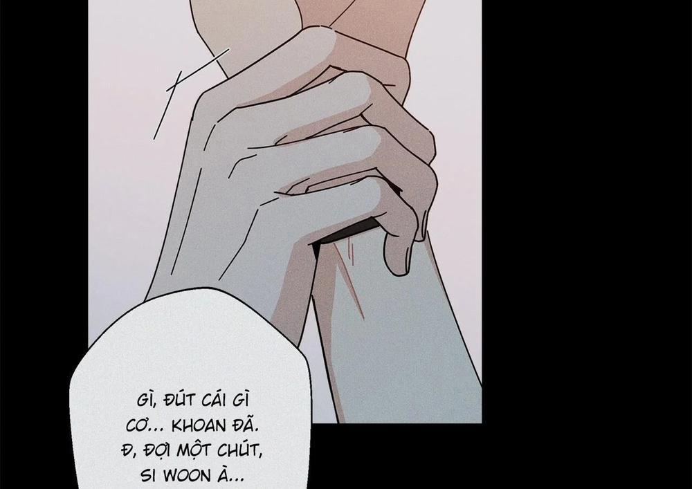 Home Five 47 trang 202