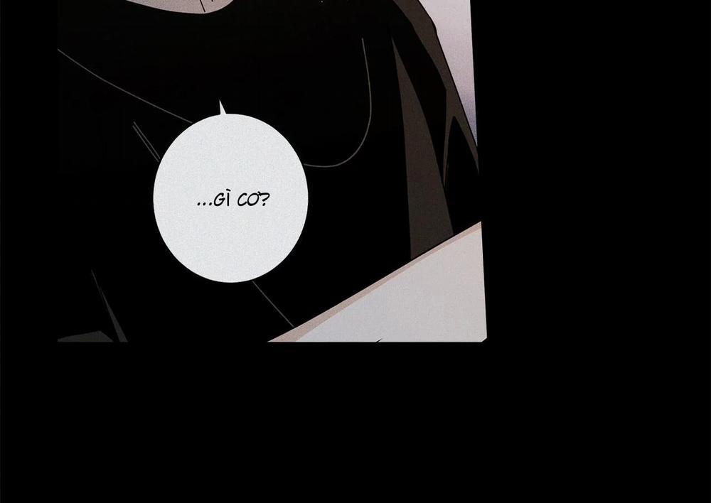 Home Five 47 trang 209