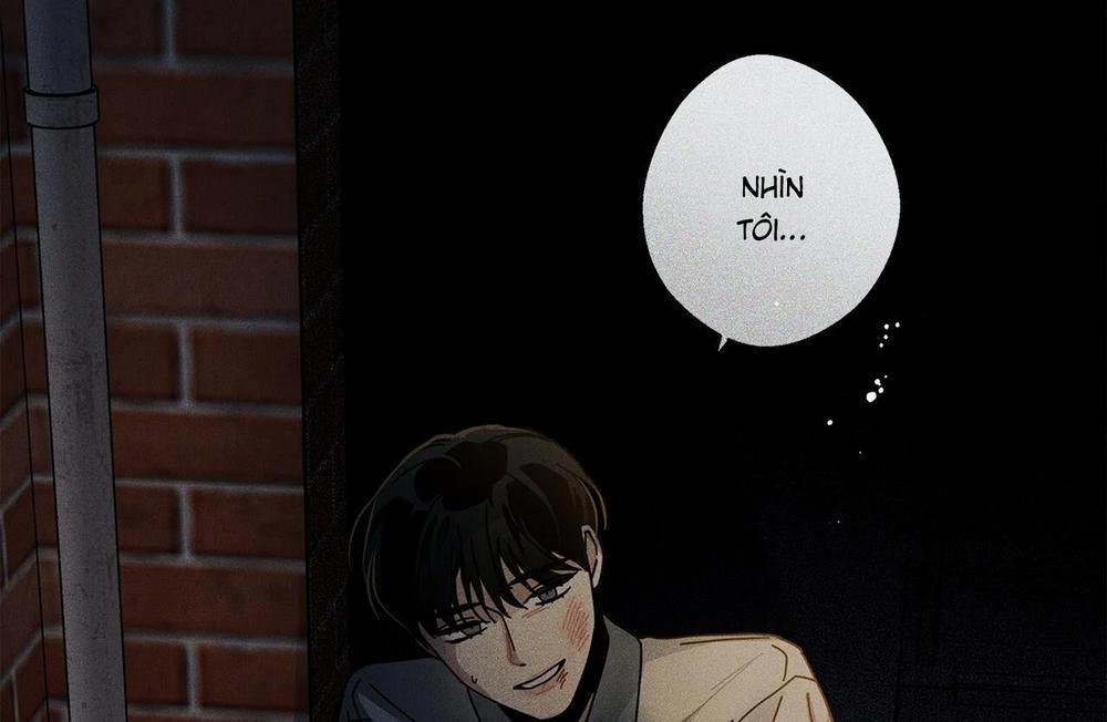 Home Five 48 trang 203