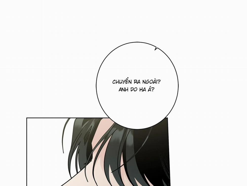 Home Five 49 trang 5