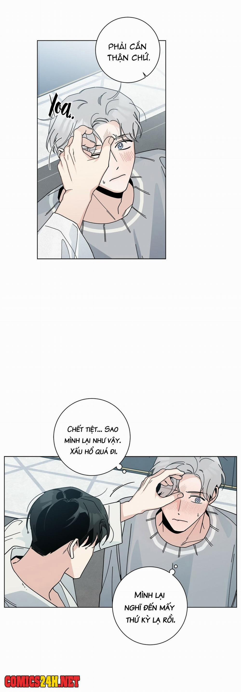 Home Five 5 trang 16