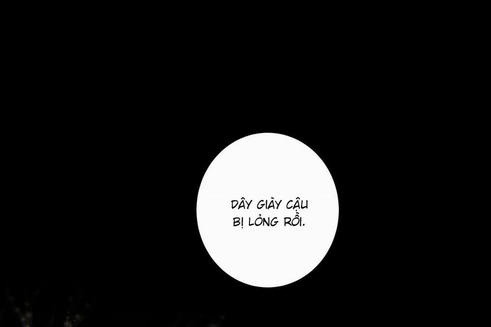 Home Five 50 trang 176