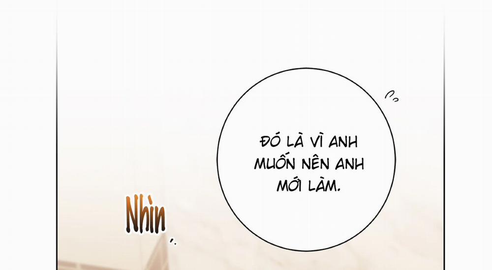 Home Five 52 trang 17